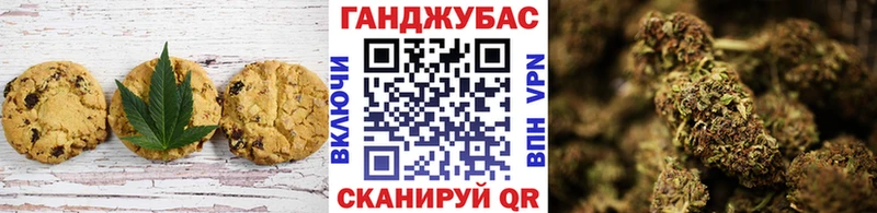 darknet наркотические препараты  Бирюч  Canna-Cookies конопля  kraken ССЫЛКА 