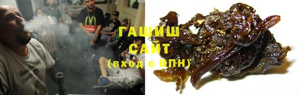 гидропоника Алзамай