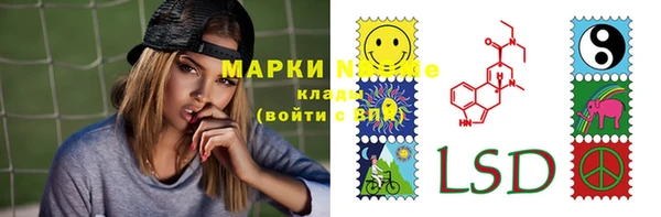 гидра Алексеевка