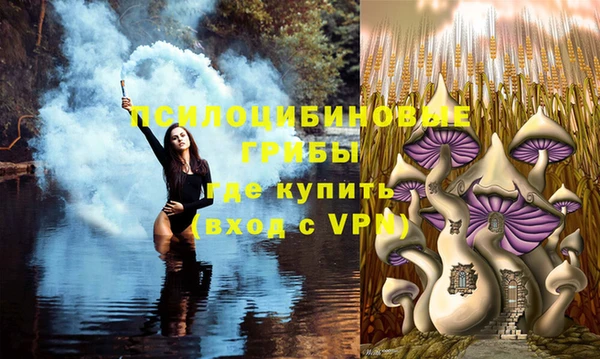 шишки Протвино