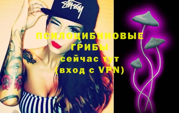 гидра Алексеевка
