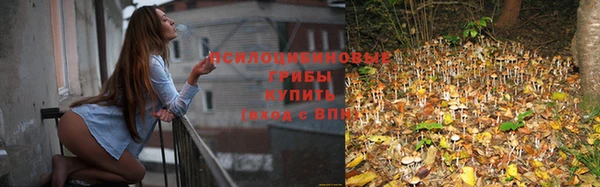 гидропоника Алзамай