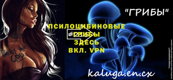 гидра Алексеевка
