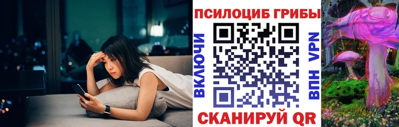 Галлюциногенные грибы прущие грибы  Бирюч 